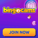 BingoCams