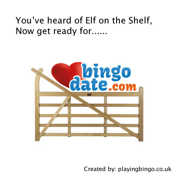 Bingo Elf On The Shelf - Bingo Date
