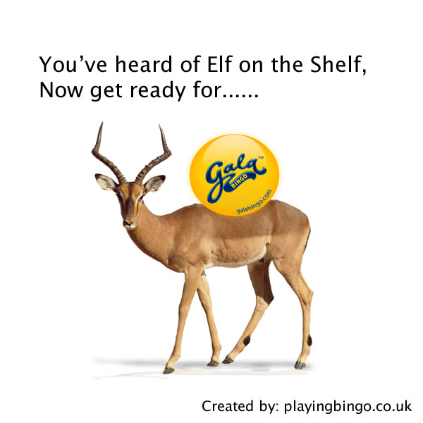 Bingo Elf On The Shelf - Gala Bingo
