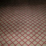 Photograph by: Charles S.P. Jenkins - Carpet