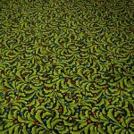 Photograph by: Charles S.P. Jenkins - Different carpet