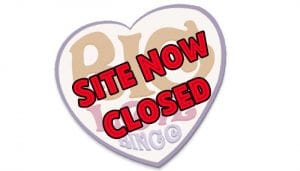 Big Love Bingo Logo