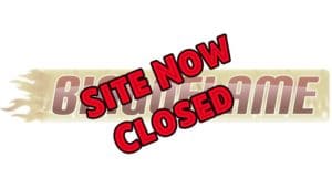 Bingo Flame Logo - Now Closed