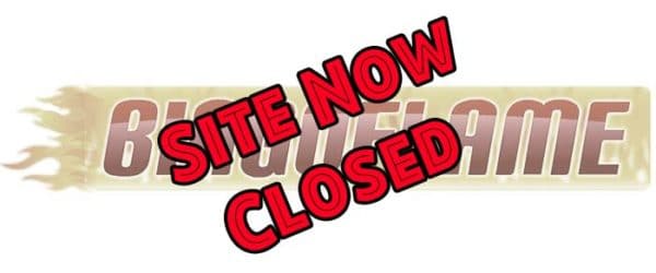 Bingo Flame Logo - Now Closed