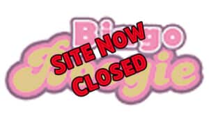 Bingo Boogie - Closed - Logo