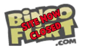 Bingo Flirt - Closed - Logo