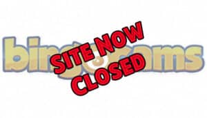 Bingocams - Closed - Logo