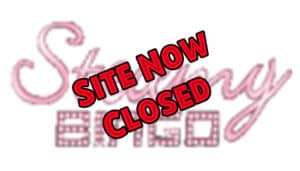 Steamy Bingo - Closed - Logo