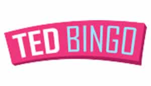 Ted Bingo - Logo