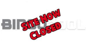 Bingo Idol - Closed - Logo