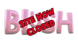 Blush Bingo - Closed - Logo