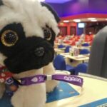 Cuddly toy fun and a view of the club.